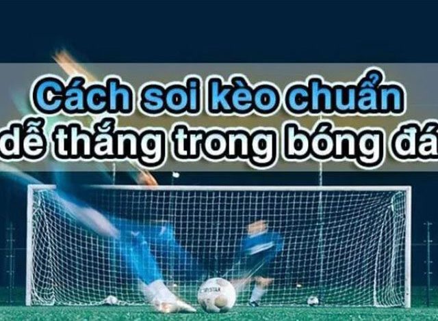 Thongtinnhacai – Kỹ năng xem tỷ lệ kèo bóng đá trực tuyến chính xác nhất